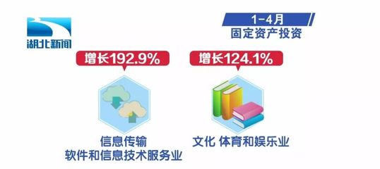 湖北1-4月經(jīng)濟(jì)運(yùn)行數(shù)據(jù)出爐 軟件和信息技術(shù)服務(wù)業(yè)展現(xiàn)強(qiáng)勁動能